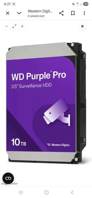 Disco Duro WD Purple Pro 10TB