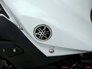 YAMAHA FZ8-N