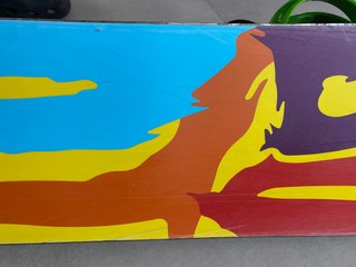 Snowboard Burton Blunt 5.9W