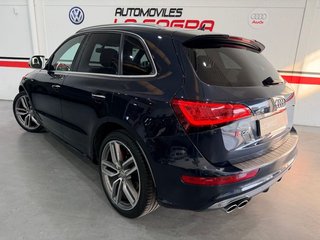 Audi SQ5 3.0 TDI 313CV