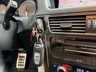 Audi SQ5 3.0 TDI 313CV
