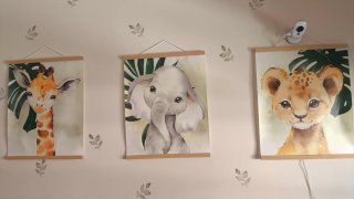 Set 3 Cuadros Animales infantiles