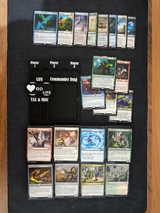 Lote Cartas Magic Commander