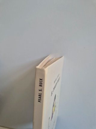 Libro infantil
