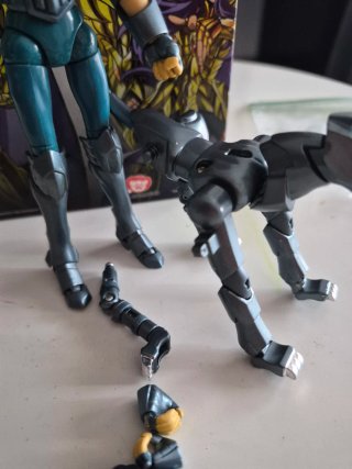 Myth Cloth Bandai Lobo Nachi Caballero Bronce