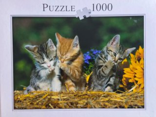 Puzzle Gatitos 1000 Piezas 68x48cm