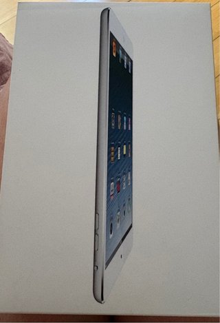 iPad Mini 16GB WiFi Privo di carica batteria