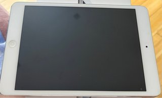 iPad Mini 16GB WiFi Privo di carica batteria