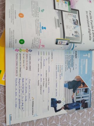 Facile facile. Libro di italiano per studenti s...