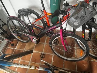 Bicicleta Infantil B'TWIN Poply 500 (24)