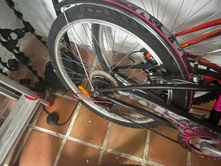 Bicicleta Infantil B'TWIN Poply 500 (24)