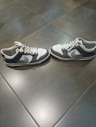 Nike Dunk Gris y Blanco