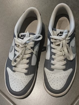 Nike Dunk Gris y Blanco