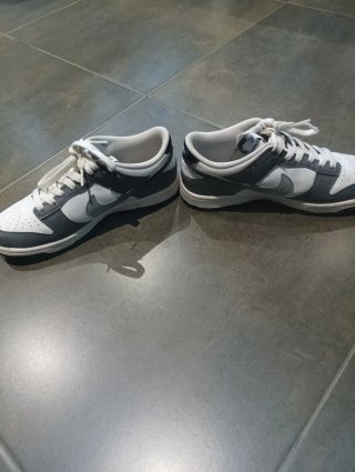 Nike Dunk Gris y Blanco