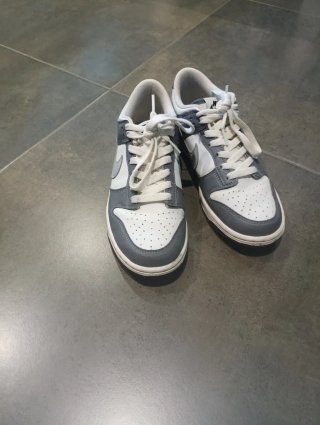 Nike Dunk Gris y Blanco