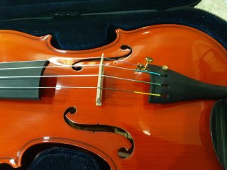 Violín STRUNAL 4/4 Modelo 220