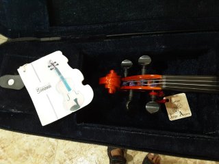 Violín STRUNAL 4/4 Modelo 220