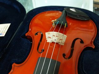 Violín STRUNAL 4/4 Modelo 220