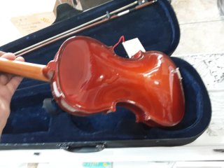 Violín STRUNAL 4/4 Modelo 220