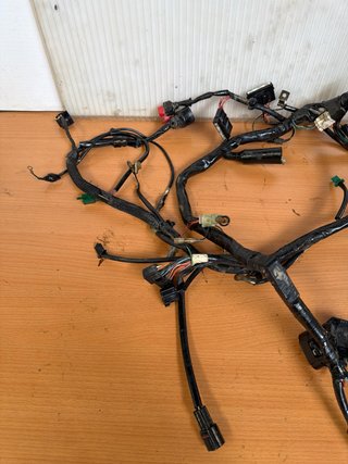 Cableado completo Suzuki Inazuma 250 2012