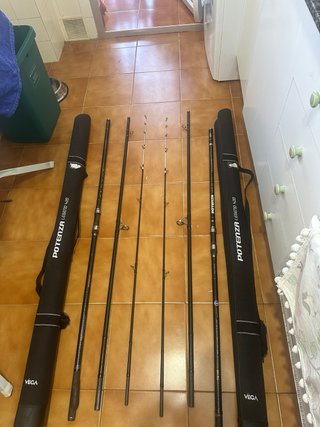 Cañas de surfcasting Vega Potenza Legend