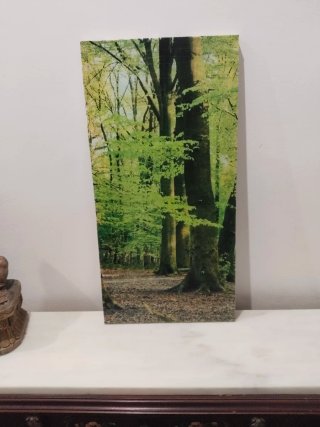 Cuadro Bosque Naturaleza