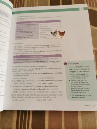 LENGUA CASTELLANA Y LITERATURA 1 ESO CONSTRUYEN...