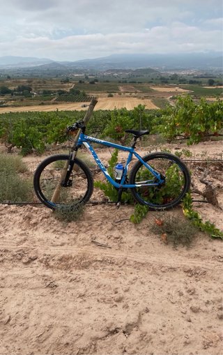 MTB Wilier Triestina