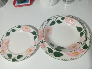 Vajilla Villeroy&Boch Wild Rose