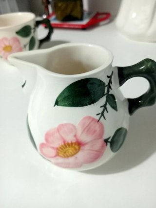 Vajilla Villeroy&Boch Wild Rose