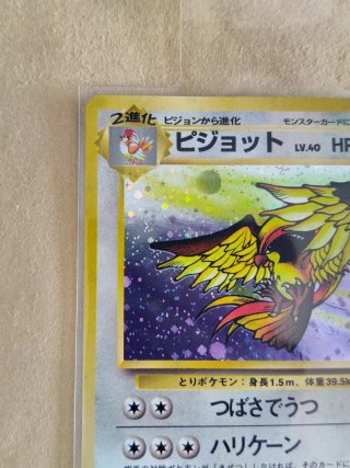 Carta Pokémon Pidgeot Holo 1997