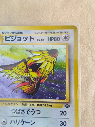 Carta Pokémon Pidgeot Holo 1997