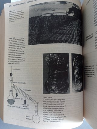 Química general, orgánica y biológica