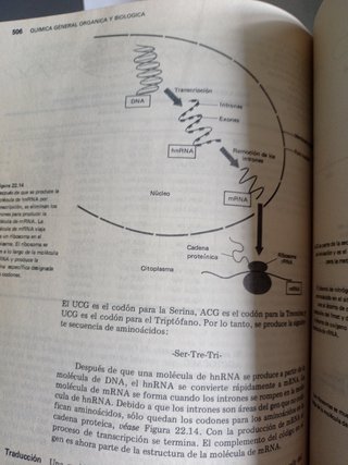 Química general, orgánica y biológica