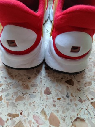 Zapatilla Nike Roja y Dorada