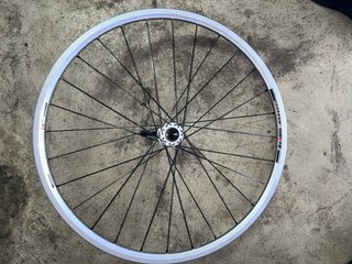 Ruedas DT Swiss 240S