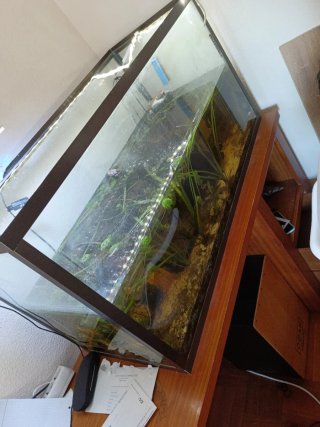Pecera 160L