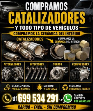 Recogida de catalizadores y filtros