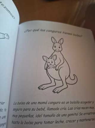Libro 100000 PORQUÉS para niños