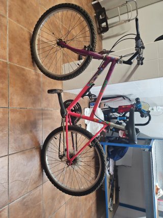 Bicicleta Montaña 24 Rosa