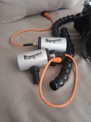 Equipo de video y fotografía subacuatica Mangrove