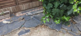 SE REGALA Piedras de pizarra variadas