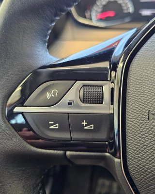 Peugeot 208 2024
