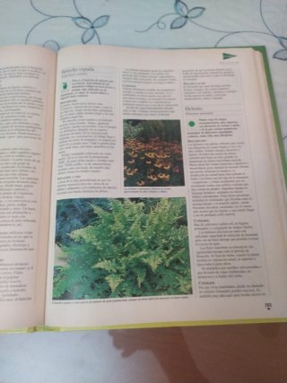 El libro de oro de las plantas y los jardines