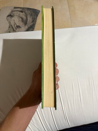 Diari del Greg 3. Això és massa! No faig ni bro...