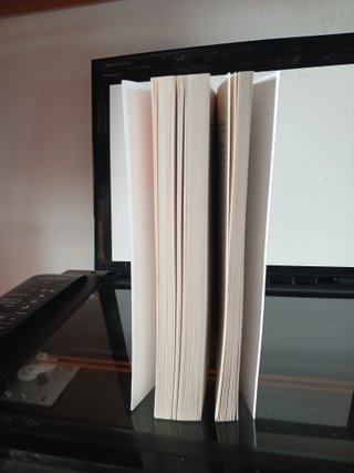 Thorstein Veblen La teoria della classe agiata