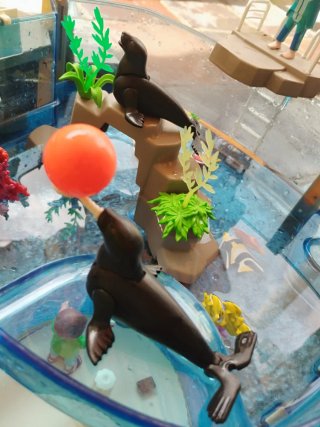 Playmobil Piscina de Focas