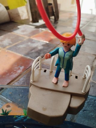 Playmobil Piscina de Focas