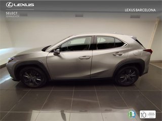 Lexus UX300H UX+ 2026 5300