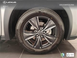 Lexus UX300H UX+ 2026 5300